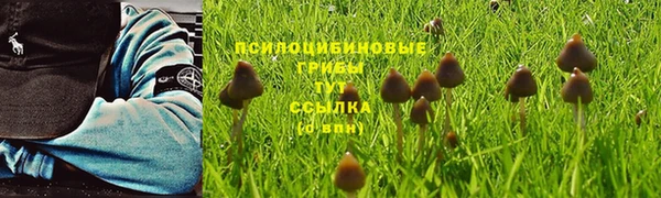 mix Арсеньев