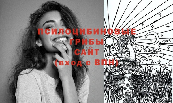 mix Арсеньев