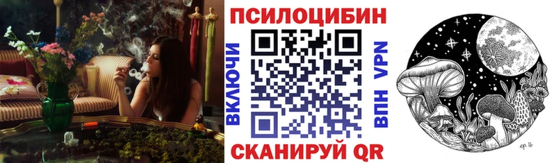 сайты даркнета официальный сайт  ссылка на мегу как войти  Сосновый Бор  Псилоцибиновые грибы Cubensis 